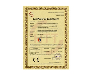 Wall Washer Certificate CE-EMC