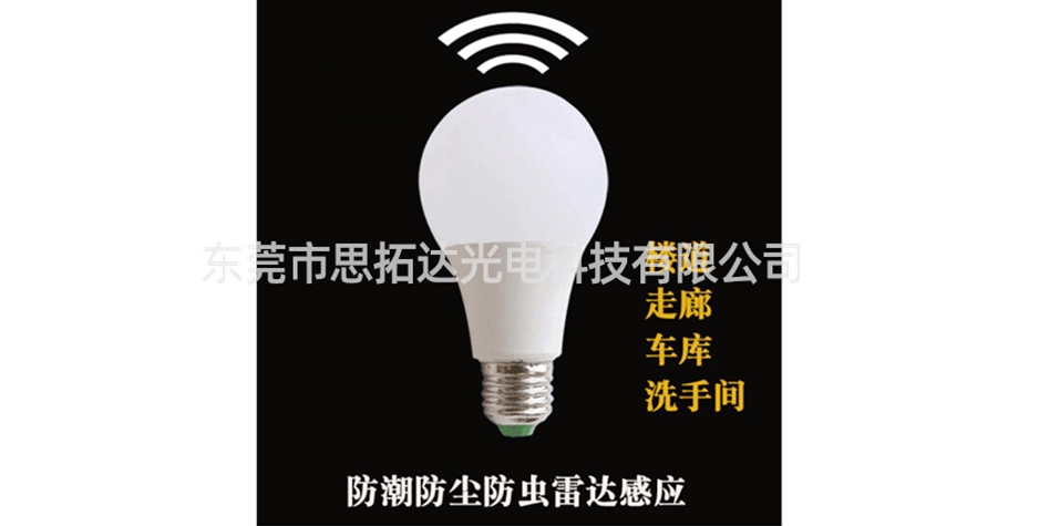 LED bulb1