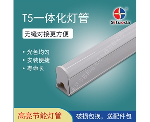 LED T5 integrated tube (0.6m 8W)