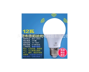 LED bulb3-副本